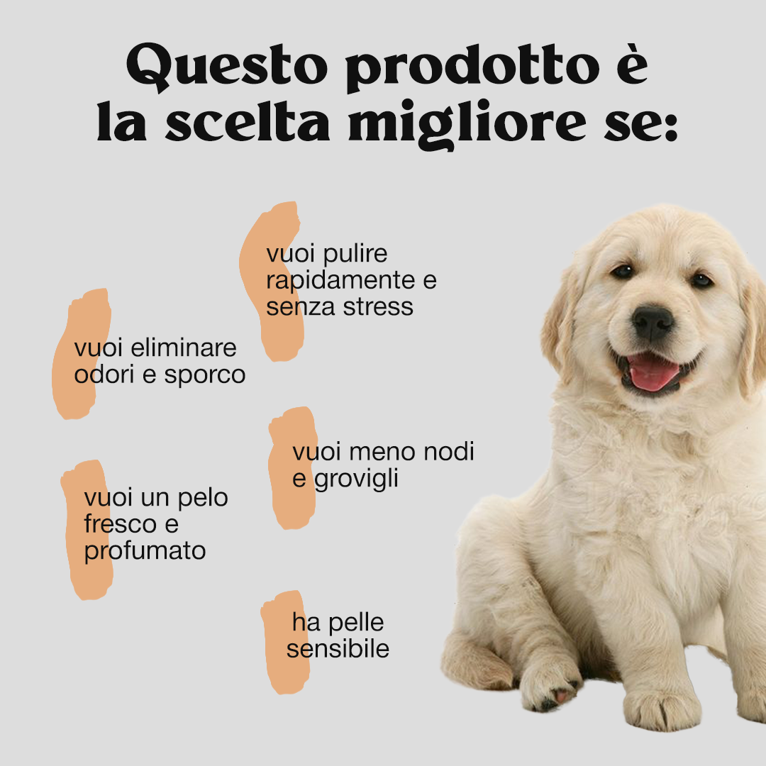 Gel Detergente No Risciacquo BUNDLE