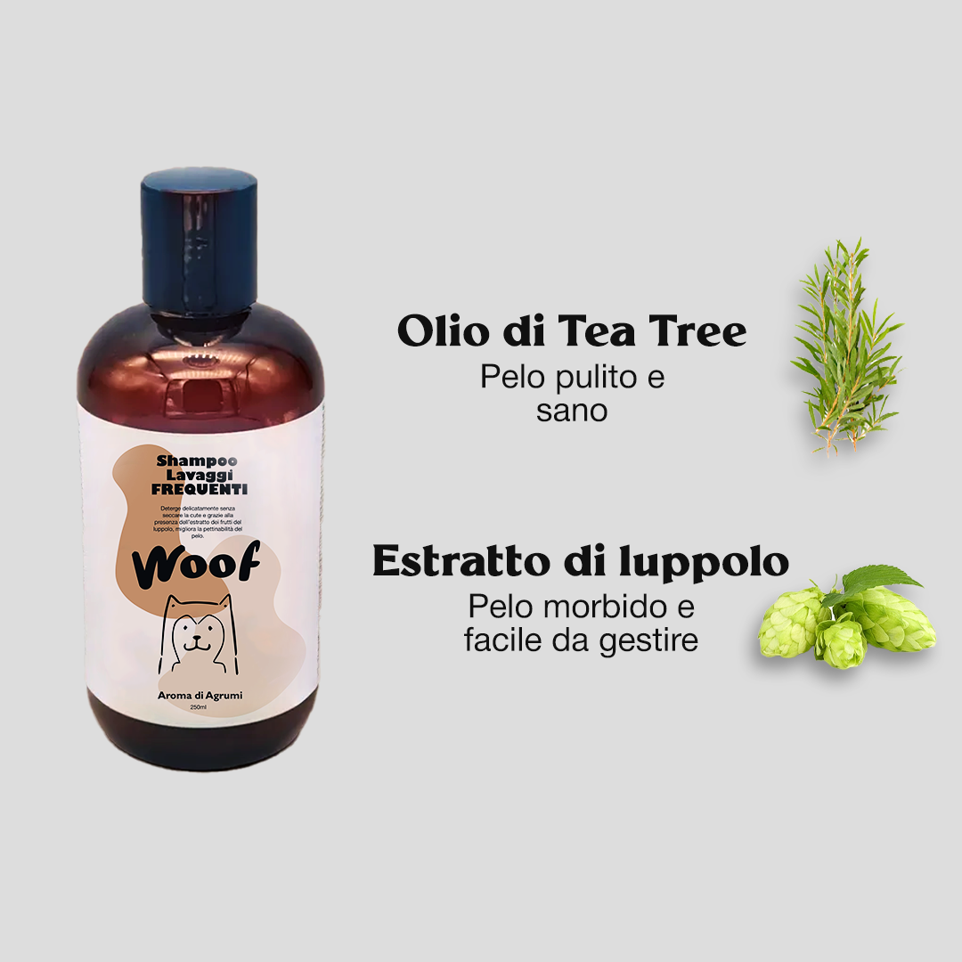 Shampoo Lavaggi Frequenti