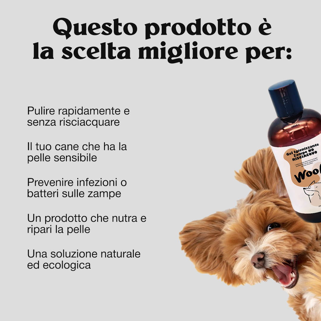 Gel Igienizzante Zampe No Risciacquo