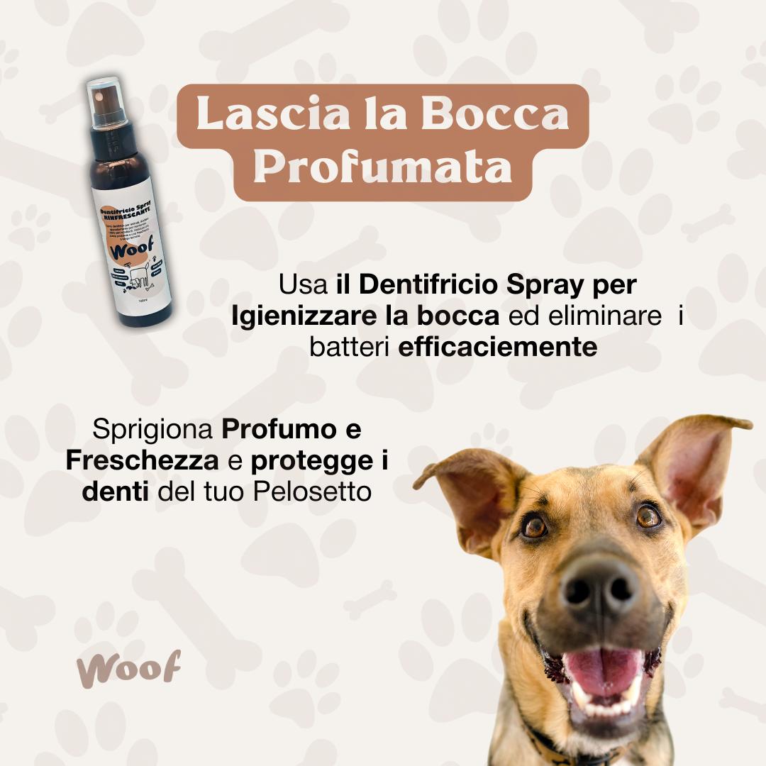 KIT Pulizia Risparmio