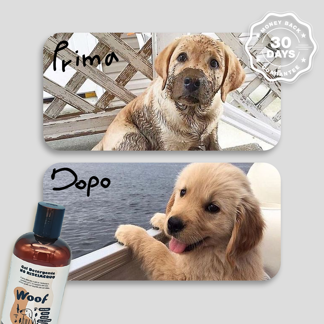 Gel Detergente No Risciacquo