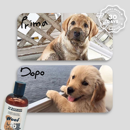 Gel Detergente No Risciacquo