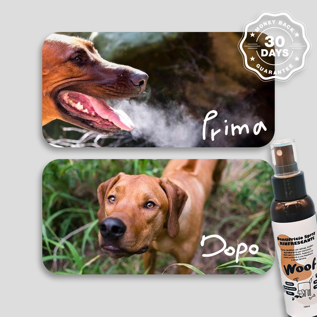 Dentifricio Spray Rinfrescante