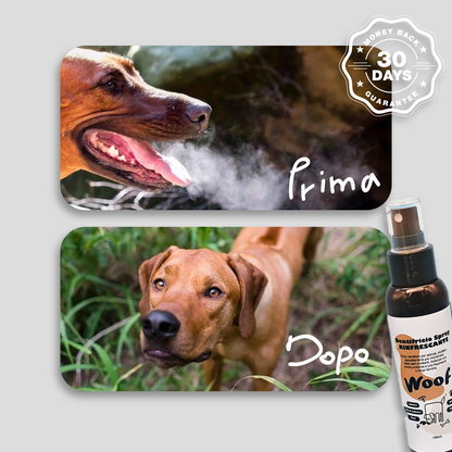 Dentifricio Spray Rinfrescante